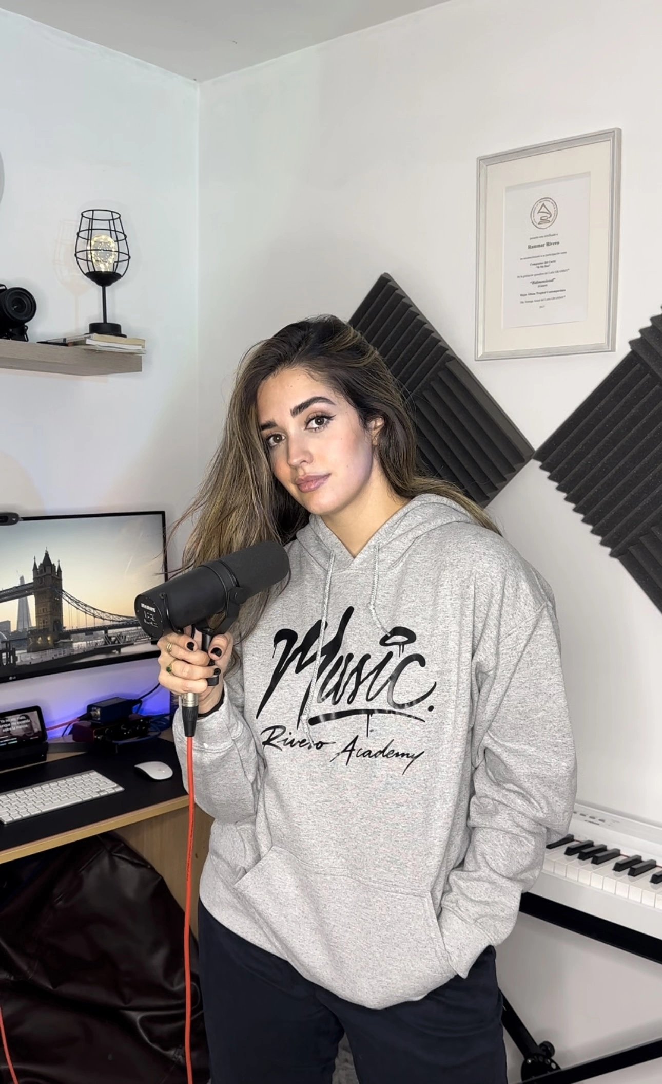 Sudadera gris con capucha